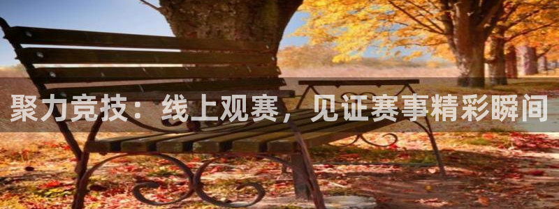 360足球直播视频雨燕直播：聚力竞技：线上观赛，见证赛事精彩瞬间