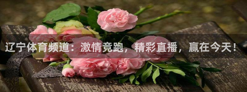 360直播无插件免费观看nba：辽宁体育频道：激情竞跑，精彩直播，赢在今天！