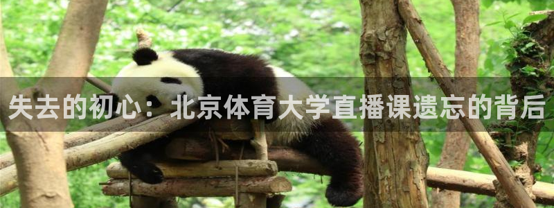 360体育直播官网：失去的初心：北京体育大学直播课遗忘的背后