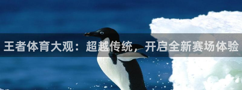 360直播jrs直播：王者体育大观：超越传统，开启全新赛场体验