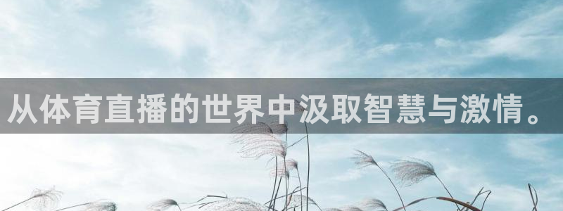 360直播网体育直播：从体育直播的世界中汲取智慧与激情。