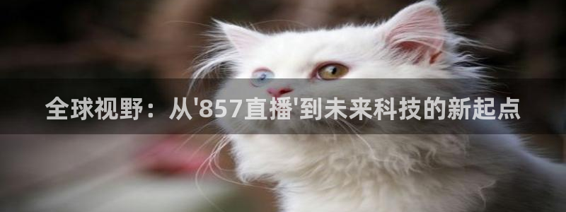 360直播体育直播网：全球视野：从\'857直播\'到未来科技的新起点