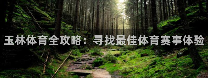 360免费直播体育直播在线观看：玉林体育全攻略：寻找最佳体育赛事体验