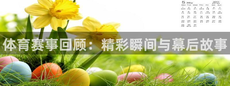 360无插件直播体育赛事直播：体育赛事回顾：精彩瞬间与幕后故事