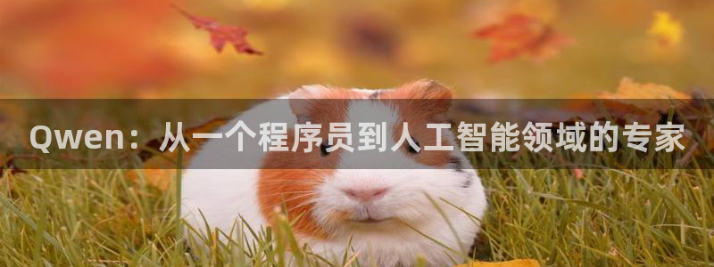 足球直播360吧：Qwen：从一个程序员到人工智能领域的专家