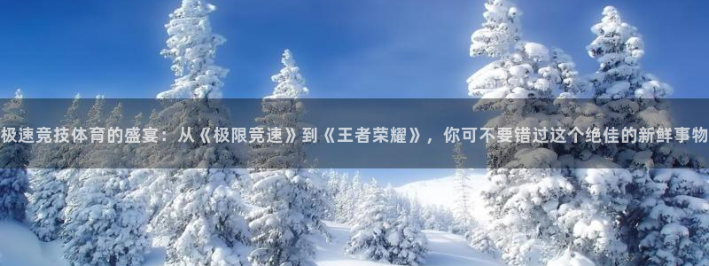 360篮球赛事直播：极速竞技体育的盛宴：从《极限竞速》到《王者荣耀》，你可不要错过这个绝佳的新鲜事物
