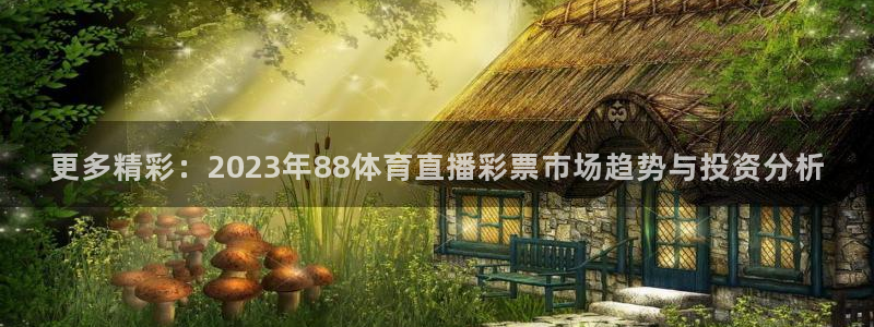 360直播足球：更多精彩：2023年88体育直播彩票市场趋势与投资分析