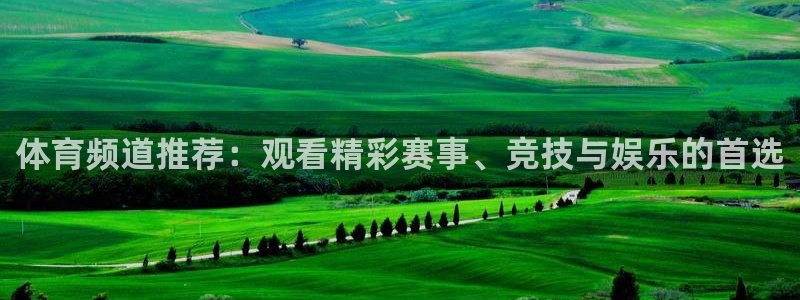 在线足球直播360：体育频道推荐：观看精彩赛事、竞技与娱乐的首选