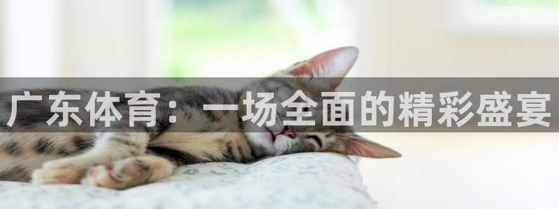 360体育免费直播无插件高清直播：广东体育：一场全面的精彩盛宴