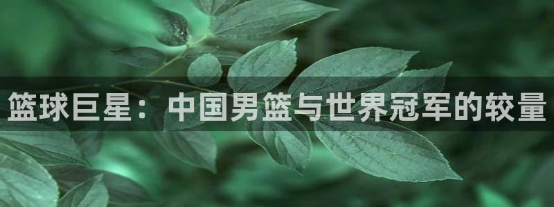 360足球直播视频雨燕直播：篮球巨星：中国男篮与世界冠军的较量