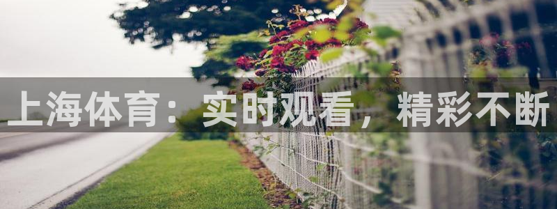 360直播足球网直播nba低调看jrs：上海体育：实时观看，精彩不断