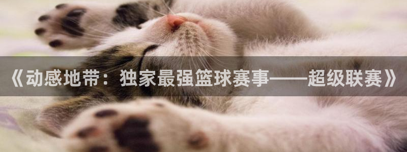 雨燕360体育赛事直播：《动感地带：独家最强篮球赛事——超级联赛》