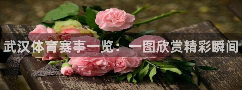 雨燕直播360高清直播nba：武汉体育赛事一览：一图欣赏精彩瞬间