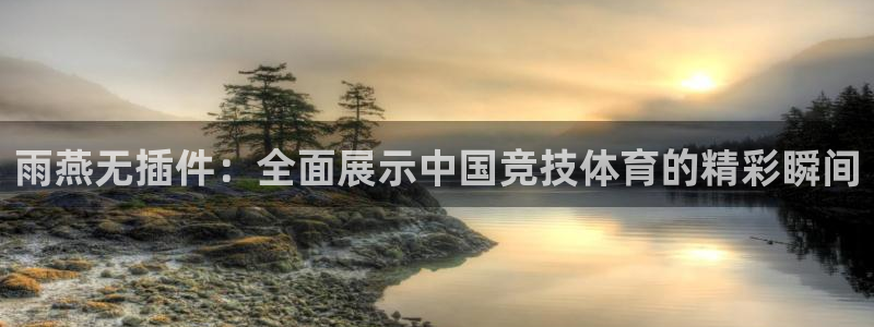 雨燕360体育免费直播nba排名：雨燕无插件：全面展示中国竞技体育的精彩瞬间