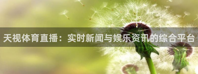 360直播网足球直播网雨燕：天视体育直播：实时新闻与娱乐资讯的综合平台