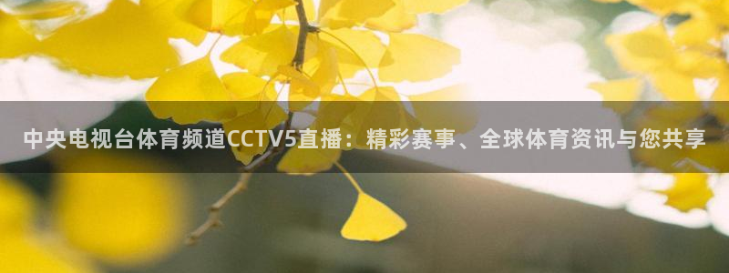 360直播无插件体育直播网站：中央电视台体育频道CCTV5直播：精彩赛事、全球体育资讯与您共享