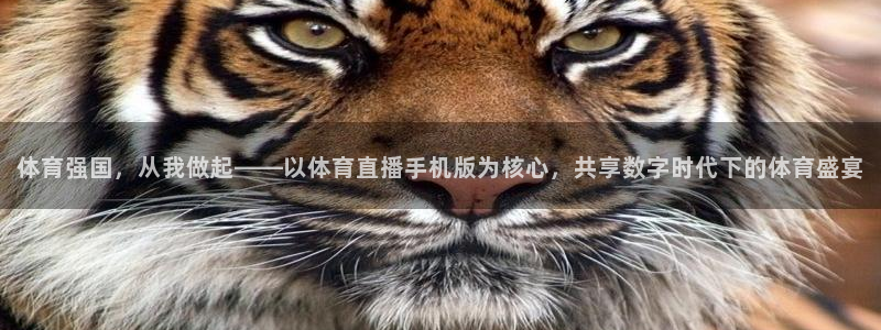 360足球比赛直播网站：体育强国，从我做起——以体育直播手机版为核心，共享数字时代下的体育盛宴