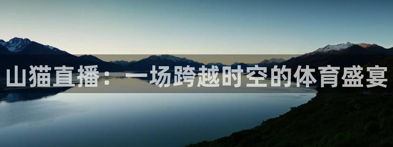 体育直播360：山猫直播：一场跨越时空的体育盛宴